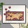 Katkin Krafts The Butterfly Effect A5 Clear Stamp Set (KK0059) (OUTLET) Katkin Krafts The Butterfly Effect A5 Clear Stamp Set (KK0059) (OUTLET)