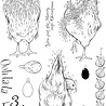 Pink Ink Designs Three French Hens A5 Clear Stamps (PI217) (OUTLET) Pink Ink Designs Three French Hens A5 Clear Stamps (PI217) (OUTLET)