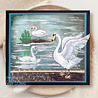Pink Ink Designs Swan Jovi A5 Clear Stamps (PI227) (OUTLET) Pink Ink Designs Swan Jovi A5 Clear Stamps (PI227) (OUTLET)
