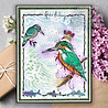 Pink Ink Designs Kingo Starr A5 Clear Stamps (PI229) (OUTLET) Pink Ink Designs Kingo Starr A5 Clear Stamps (PI229) (OUTLET)