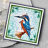 Pink Ink Designs Kingo Starr A5 Clear Stamps (PI229) (OUTLET) Pink Ink Designs Kingo Starr A5 Clear Stamps (PI229) (OUTLET)