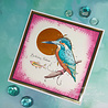 Pink Ink Designs Kingo Starr A5 Clear Stamps (PI229) (OUTLET) Pink Ink Designs Kingo Starr A5 Clear Stamps (PI229) (OUTLET)