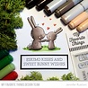 My Favorite Things Bunny Wishes Clear Stamps (RAM-011) (OUTLET) My Favorite Things Bunny Wishes Clear Stamps (RAM-011) (OUTLET)