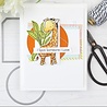 My Favorite Things Sweetest Safari Set 2 Clear Stamps (SY-37) (OUTLET) My Favorite Things Sweetest Safari Set 2 Clear Stamps (SY-37) (OUTLET)