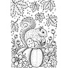 Creative Expressions Designer Boutique Clear Stamp A6 Hibernation Preparation (UMSDB082) (OUTLET) Creative Expressions Designer Boutique Clear Stamp A6 Hibernation Preparation (UMSDB082) (OUTLET)