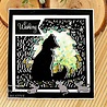 Creative Expressions Paper Panda Craft Die The Cats Pause (CEDPP023) (OUTLET) Creative Expressions Paper Panda Craft Die The Cats Pause (CEDPP023) (OUTLET)