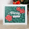 Creative Expressions Sue Wilson Craft Die & Stamp Festive Collection Merry (CEDSD023) (OUTLET) Creative Expressions Sue Wilson Craft Die & Stamp Festive Collection Merry (CEDSD023) (OUTLET)