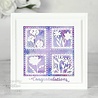 Creative Expressions Sue Wilson Craft Die Squares Collection Square Aperture (CED2501) (OUTLET) Creative Expressions Sue Wilson Craft Die Squares Collection Square Aperture (CED2501) (OUTLET)
