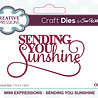 Creative Expressions Sue Wilson Craft Die Mini Expressions Sending You Sunshine (CEDME107) (OUTLET) Creative Expressions Sue Wilson Craft Die Mini Expressions Sending You Sunshine (CEDME107) (OUTLET)