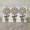 Creative Expressions Sam Poole Clear Stamp A6 Daisy Bloom (CEC993) (OUTLET) Creative Expressions Sam Poole Clear Stamp A6 Daisy Bloom (CEC993) (OUTLET)