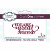 Creative Expressions Sue Wilson Craft Die Mini Expressions You Are A Great Friend (CEDME109) (OUTLET) Creative Expressions Sue Wilson Craft Die Mini Expressions You Are A Great Friend (CEDME109) (OUTLET)
