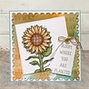Creative Expressions Sam Poole Rubber Stamp A6 Rustic Alphabet (CER023) (OUTLET) Creative Expressions Sam Poole Rubber Stamp A6 Rustic Alphabet (CER023) (OUTLET)