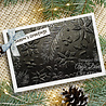 Creative Expressions Sue Wilson 3D Embossing Folder Nature's Christmas (EF3D-067) (OUTLET) Creative Expressions Sue Wilson 3D Embossing Folder Nature's Christmas (EF3D-067) (OUTLET)