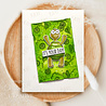 Creative Expressions Jane's Doodles Clear Stamp Set It's Your Day (CEC1047) (OUTLET) Creative Expressions Jane's Doodles Clear Stamp Set It's Your Day (CEC1047) (OUTLET)