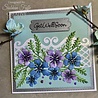 Creative Expressions Jamie Rodgers Craft Die Fairy Wishes Get Well Soon (CEDJR105) (OUTLET) Creative Expressions Jamie Rodgers Craft Die Fairy Wishes Get Well Soon (CEDJR105) (OUTLET)