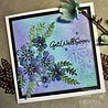Creative Expressions Jamie Rodgers Craft Die Fairy Wishes Get Well Soon (CEDJR105) (OUTLET) Creative Expressions Jamie Rodgers Craft Die Fairy Wishes Get Well Soon (CEDJR105) (OUTLET)