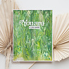Creative Expressions Sue Wilson 3D Embossing Folder Weeping Willow (EF3D-071) (OUTLET) Creative Expressions Sue Wilson 3D Embossing Folder Weeping Willow (EF3D-071) (OUTLET)
