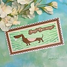 Creative Expressions Sue Wilson Craft Die Mini Shadowed Sentiments Just Because (CEDSS036) (OUTLET) Creative Expressions Sue Wilson Craft Die Mini Shadowed Sentiments Just Because (CEDSS036) (OUTLET)
