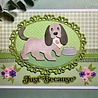Creative Expressions Sue Wilson Craft Die Mini Shadowed Sentiments Just Because (CEDSS036) (OUTLET) Creative Expressions Sue Wilson Craft Die Mini Shadowed Sentiments Just Because (CEDSS036) (OUTLET)
