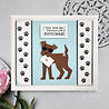 Creative Expressions Sue Wilson Craft Die Pet Pals Buddy (CED23069) (OUTLET) Creative Expressions Sue Wilson Craft Die Pet Pals Buddy (CED23069) (OUTLET)