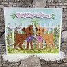 Creative Expressions Sue Wilson Craft Die Pet Pals Buddy (CED23069) (OUTLET) Creative Expressions Sue Wilson Craft Die Pet Pals Buddy (CED23069) (OUTLET)