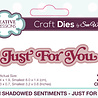Creative Expressions Sue Wilson Craft Die Mini Shadowed Sentiments Just For You (CEDSS038) (OUTLET) Creative Expressions Sue Wilson Craft Die Mini Shadowed Sentiments Just For You (CEDSS038) (OUTLET)
