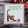 Creative Expressions Designer Boutique Clear Stamp A5 Feline Good! (UMSDB178) (OUTLET) Creative Expressions Designer Boutique Clear Stamp A5 Feline Good! (UMSDB178) (OUTLET)