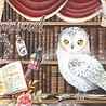 Memory Place Spellbound Journaling Cards (MP-60643) (OUTLET) Memory Place Spellbound Journaling Cards (MP-60643) (OUTLET)