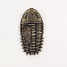 Mitform Prehistory 4 Metal Embellishments (MITS066) (OUTLET) Mitform Prehistory 4 Metal Embellishments (MITS066) (OUTLET)