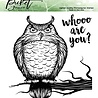 Picket Fence Studios Whooo are You? 4x4 Inch Clear Stamps (H-112) (OUTLET) Picket Fence Studios Whooo are You? 4x4 Inch Clear Stamps (H-112) (OUTLET)