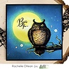 Picket Fence Studios Whooo are You? 4x4 Inch Clear Stamps (H-112) (OUTLET) Picket Fence Studios Whooo are You? 4x4 Inch Clear Stamps (H-112) (OUTLET)