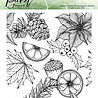 Picket Fence Studios Holiday Traditions Collage 4x4 Inch Clear Stamps (C-120) (OUTLET) Picket Fence Studios Holiday Traditions Collage 4x4 Inch Clear Stamps (C-120) (OUTLET)
