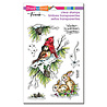 Stampendous! Birds And Bunnies Perfectly Clear Stamps (SSC2020) (OUTLET) Stampendous! Birds And Bunnies Perfectly Clear Stamps (SSC2020) (OUTLET)