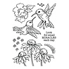 Stampendous! Hummingbird Day Clear Stamps (STP-193) (OUTLET) Stampendous! Hummingbird Day Clear Stamps (STP-193) (OUTLET)