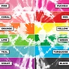 Tulip One-Step Tie-Dye Kit Carnival (12pcs) (44065) (OUTLET) Tulip One-Step Tie-Dye Kit Carnival (12pcs) (44065) (OUTLET)