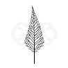 Woodware Mini Tall Twiggy Tree Clear Stamp (JGM018) (OUTLET) Woodware Mini Tall Twiggy Tree Clear Stamp (JGM018) (OUTLET)