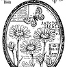Woodware Daisy Frame Clear Stamps (FRS980) (OUTLET) Woodware Daisy Frame Clear Stamps (FRS980) (OUTLET)
