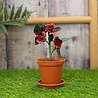 Crafter's Companion Arts 'n Flowers Garden Florals Metal Dies Tea Rose (SCC-AF-GFL-MD-TEAR) (OUTLET) Crafter's Companion Arts 'n Flowers Garden Florals Metal Dies Tea Rose (SCC-AF-GFL-MD-TEAR) (OUTLET)