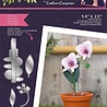 Crafter's Companion Arts 'n Flowers Garden Florals Metal Dies Orchid (SCC-AF-GFL-MD-ORCH) (OUTLET) Crafter's Companion Arts 'n Flowers Garden Florals Metal Dies Orchid (SCC-AF-GFL-MD-ORCH) (OUTLET)