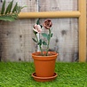 Crafter's Companion Arts 'n Flowers Garden Florals Metal Dies Champagne Rose (SCC-AF-GFL-MD-CHRO) (OUTLET) Crafter's Companion Arts 'n Flowers Garden Florals Metal Dies Champagne Rose (SCC-AF-GFL-MD-CHRO) (OUTLET)