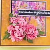 Crafter's Companion Say It With Flowers Flower Forming Foam Pack (S-SIWF-FOAM-FLFO) (OUTLET) Crafter's Companion Say It With Flowers Flower Forming Foam Pack (S-SIWF-FOAM-FLFO) (OUTLET)