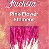 Crafter's Companion Fabulous Fuchsia Pink Flower Stamens (400pcs) (NGA-FF-STAMEN) (OUTLET) Crafter's Companion Fabulous Fuchsia Pink Flower Stamens (400pcs) (NGA-FF-STAMEN) (OUTLET)