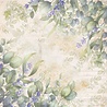 Crafter's Companion Secret Garden Collection 8x8 Inch Vellum Pad (NG-SG-VELPAD) (OUTLET) Crafter's Companion Secret Garden Collection 8x8 Inch Vellum Pad (NG-SG-VELPAD) (OUTLET)