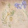 Crafter's Companion Secret Garden Collection 8x8 Inch Vellum Pad (NG-SG-VELPAD) (OUTLET) Crafter's Companion Secret Garden Collection 8x8 Inch Vellum Pad (NG-SG-VELPAD) (OUTLET)