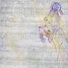 Crafter's Companion Secret Garden Collection 8x8 Inch Vellum Pad (NG-SG-VELPAD) (OUTLET) Crafter's Companion Secret Garden Collection 8x8 Inch Vellum Pad (NG-SG-VELPAD) (OUTLET)