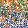 Crafter's Companion Mediterranean Dreams 6x6 Inch Paper Pad (MED-PAD6) (OUTLET) Crafter's Companion Mediterranean Dreams 6x6 Inch Paper Pad (MED-PAD6) (OUTLET)