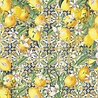 Crafter's Companion Mediterranean Dreams 6x6 Inch Paper Pad (MED-PAD6) (OUTLET) Crafter's Companion Mediterranean Dreams 6x6 Inch Paper Pad (MED-PAD6) (OUTLET)