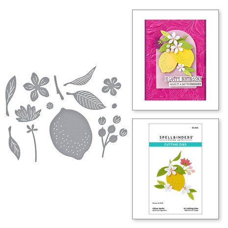 Spellbinders La Dolce Vita Citrus Spritz Dies (S2-445)