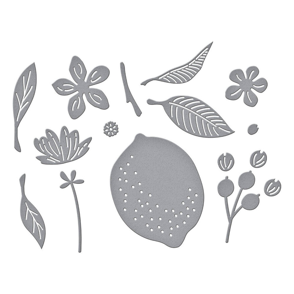 Spellbinders La Dolce Vita Citrus Spritz Dies (S2-445)