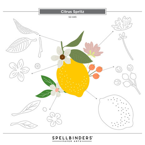 Spellbinders La Dolce Vita Citrus Spritz Dies (S2-445)